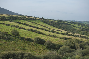 Fototapeta na wymiar typical Irish landscape
