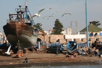 Morocco Essaouira fish port with boats, fishers, seaguls with the background of old wall, mosque, town in sunny day