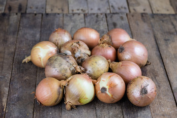 Tasty ripe onion in a jute sack. Vegetables hollowed out in the garden on an old wooden table.