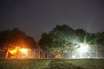 orange and white light under trees at starry night in bangladesh