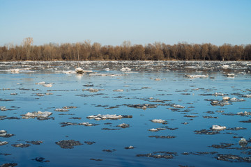 Naklejka premium Ice floats down river. Background image of melting ice. Thawing of ice in spring season. Blue sky reflected in river water.
