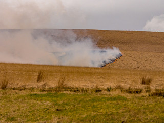 Fototapeta na wymiar Rapidly advancing moorland grass fire on moors near Belmont, Chorley, Lancashire, UK