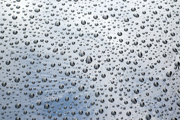 drops of water-repellent surface, after the rain