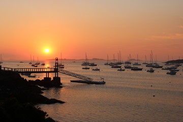 Sailboats in an east coast harbor at sunset