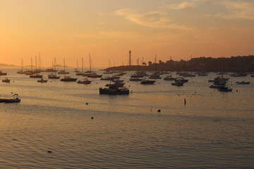 Sailboats in an east coast harbor at sunset