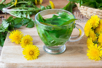 Cup of dandelion tea made from fresh leaves