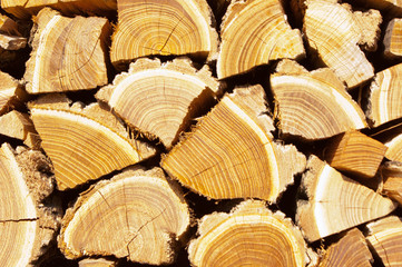 Fototapeta premium Wooden natural cut logs textured background, top view, flat lay