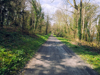 Spring forest park,Northern Ireland