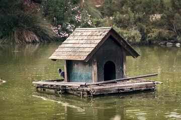 Fototapeta na wymiar Wooden House of Ducks and swans in the water of a pond in the park
