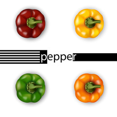 3d realistic bell pepper set top view. Red, yellow, green, orange.