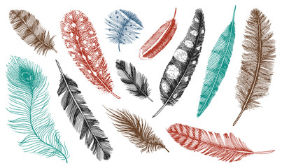 Set of Rustic realistic feathers of different birds, owls, peacocks, ducks. engraved hand drawn in old vintage sketch. Vector illustration.