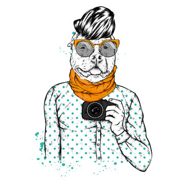 Hipster dog with human body and camera. Animal in clothes. Vector illustration.