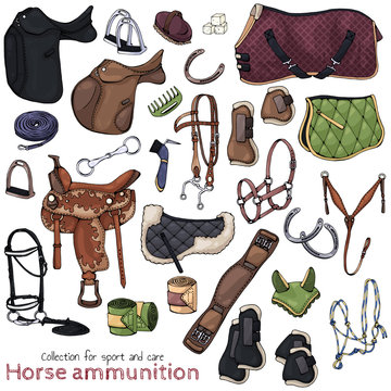 Group of vector colorful illustrations on the theme horse ammunition; set of isolated objects for equestrian sport and care. Pictures contain realistic shadows and glare.