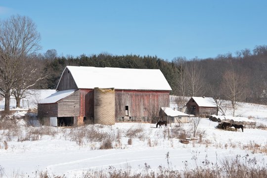Winter Barn with Horses