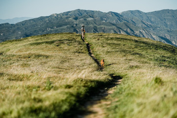 Dog and girl on hilltop - 202108326