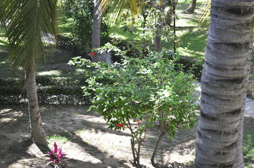 Naturaleza