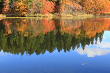 秋の二夜の池　Futayonoike Pond in autumn	