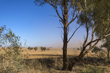 Fototapeta na wymiar New South Wales – Dust Storm near Temora