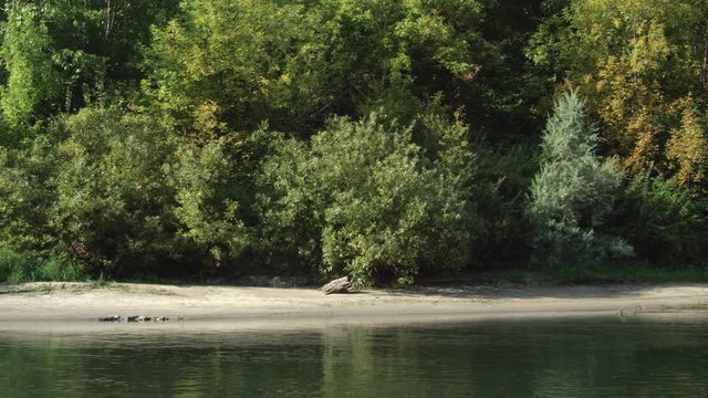 Drifting right past a sandy beach along a wooded riverbank