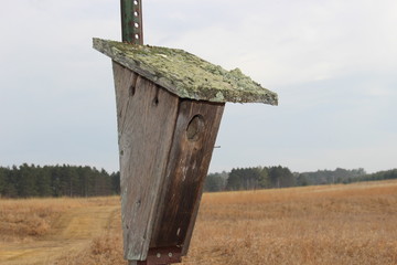 Animal Nesting Box at a Nature Center