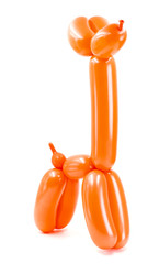 orange twisted balloon dog isolated on white background © dark_blade