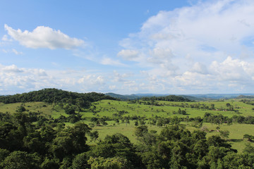 Fototapeta na wymiar green fields with trees, blue sky and rocks