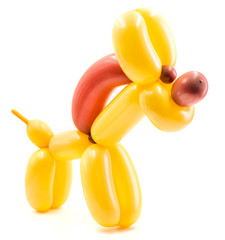 orange and brown twisted balloon horse isolated on white