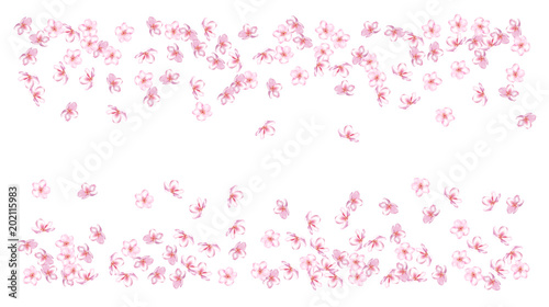 Wedding Sakura Cherry Rose Petals Fl Confetti Shower Vector Wedding Sakura Cherry Rose Petals Fl Confetti Shower Vector Peach Le Blossom Soft