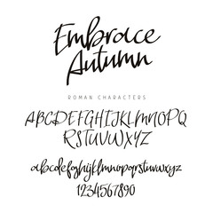 Fashionable modern font. Calligraphy