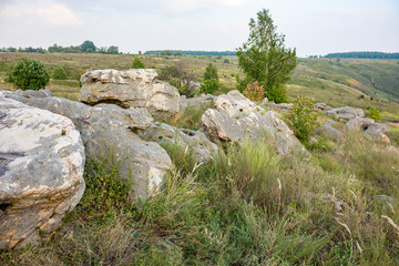 Fototapeta na wymiar Sacred stones in the area of the village of Krasnogorye. The nature monument Witches stones. The valley of the Krasivaya Mecha River. Tula region, Russia