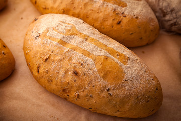 Close-up of fresh white bread in rolls stands in even rows in a bakery