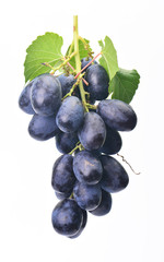 Grape fruit