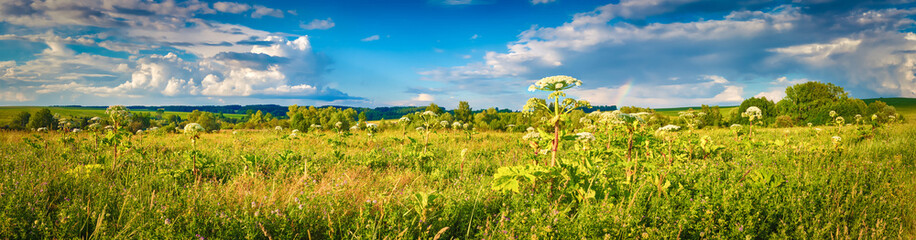 Fototapeta na wymiar Rural landscape. Heraclium on the foreground. Panorama