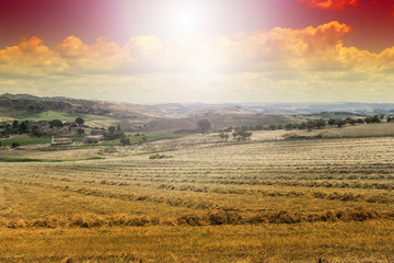 Fototapeta na wymiar Fields in Sicily after harvesting