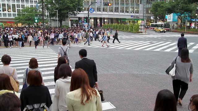 People and bicycles at the congested crosswalk in Shibuya, Tokyo. 