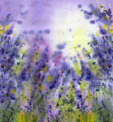 Watercolor backgrount with violet lavender field in Provence - 202128329