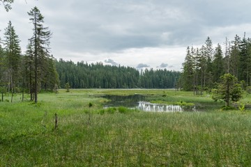 Großer Arber See, Bayern - Deutschland