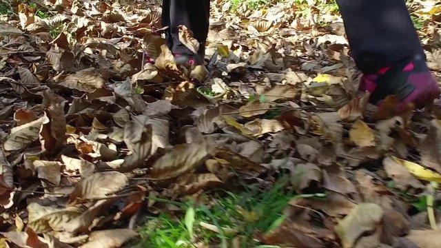 woman legs in snickers shoes walk on park forest path covered with autumn colorful leaves  SLOW MOTION