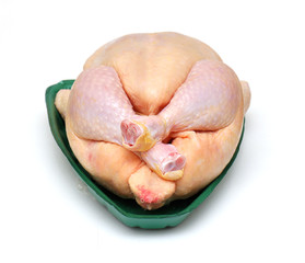 Raw chicken torso