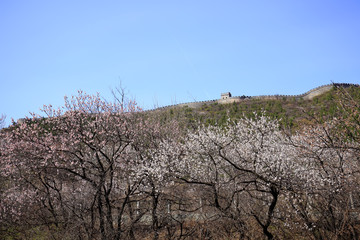 The Great Wall in China