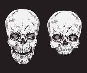 Human skull vector. Illustration on black background