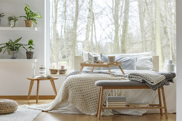 Plants in cozy bedroom interior