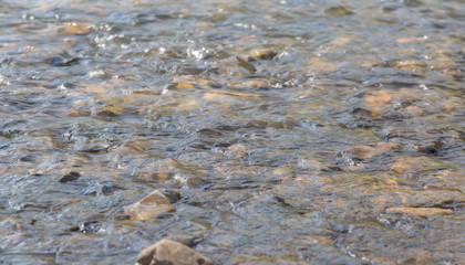 Shallow stream flowing over rocks and pebbles