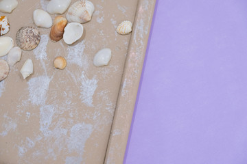 Seashell background, lots of different seashells piled together