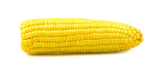 sweet corn isolated on white background