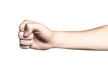 biceps isolated on a white background