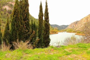 Tolosa reservoir surrounded by vegetation and mountains