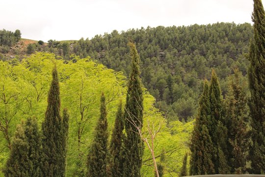 Landscape of the Sierra of Utiel Requena in Valencia, Spain