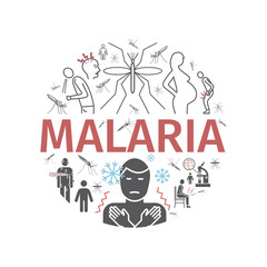 Malaria line icon banner. Infographics. Symptoms, Signs for web graphics.