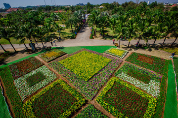 Obraz premium The flowers are large and beautiful people come to see. In khon kaen
